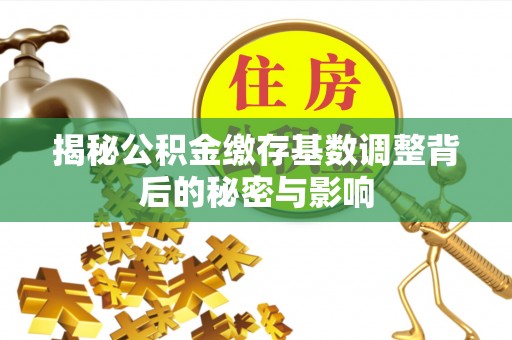 石河子揭秘公积金缴存基数调整背后的秘密与影响