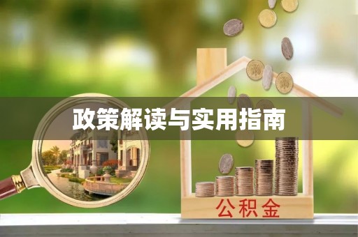 石河子政策解读与实用指南