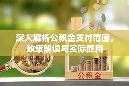 石河子深入解析公积金支付范围，政策解读与实际应用