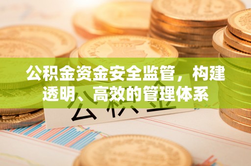 石河子公积金资金安全监管，构建透明、高效的管理体系